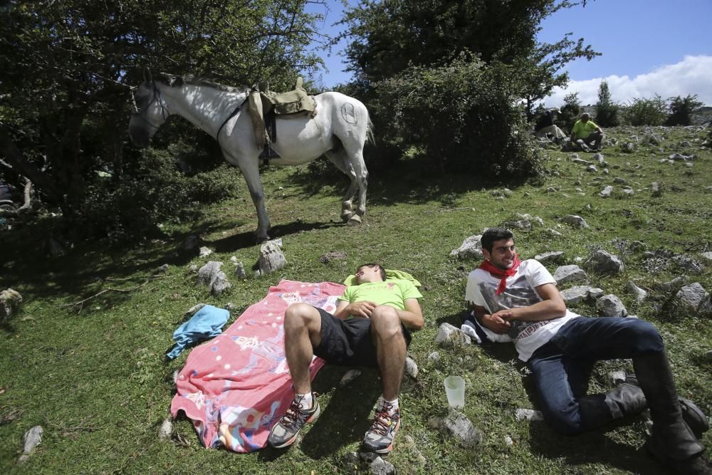 Fiesta del Asturcón en El Sueve