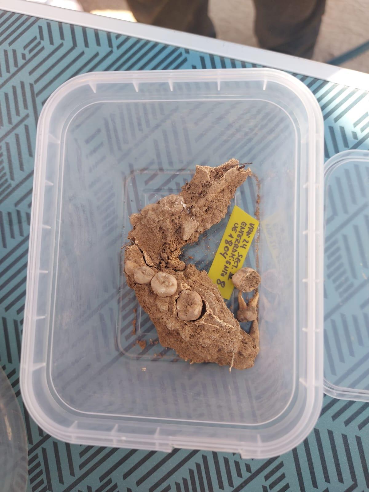 Restos encontrados en los trabajos en la Villa Romana de l'Alfàs.