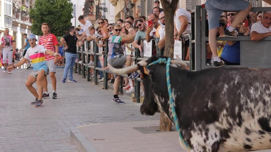 La Diputación de Córdoba apoyará los actos previstos por los 400 años de existencia del toro de cuerda en Carcabuey