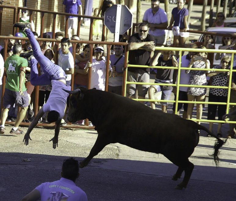 Fiestas de Santa Cristina de la Polvorosa 2017