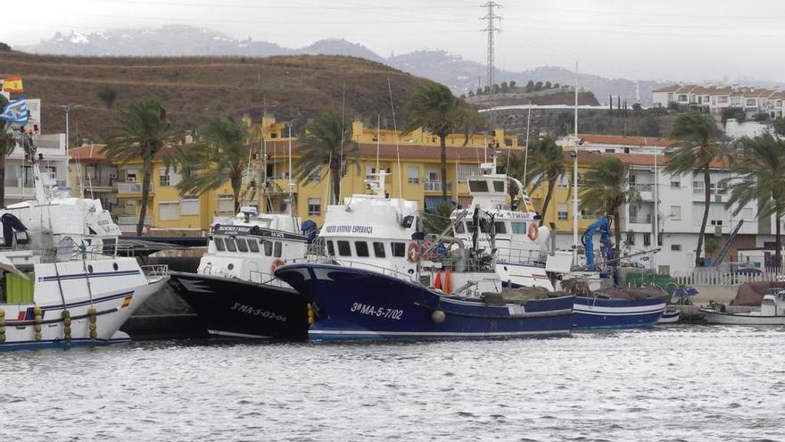 Varias embarcaciones amarradas en el principal puerto malagueño, el de Caleta de Vélez.