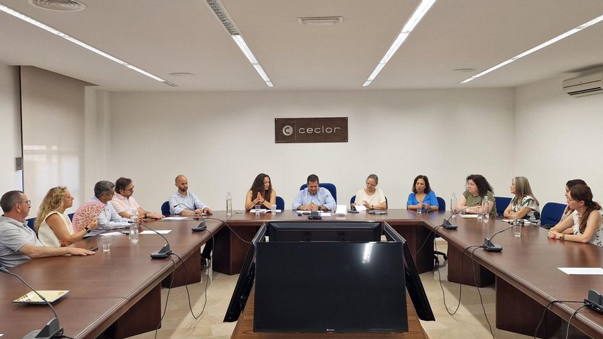 El PSOE propone un plan de medidas para apoyar a los negocios de Lorca por las obras del AVE