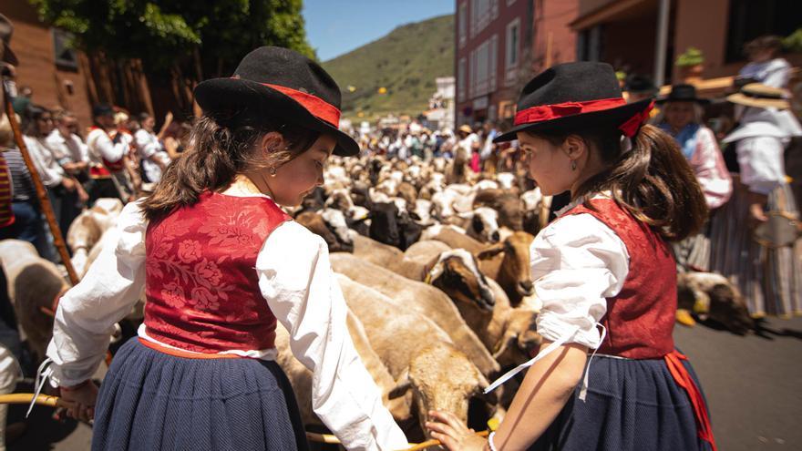 Tenerife diversifica su oferta cultural, deportiva y festiva este fin de semana
