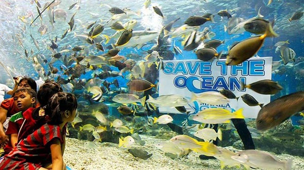Un grup de nens visita l’aquari de Manila (Filipines).
