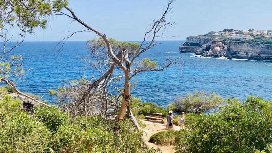 Wetter auf Mallorca: Es bleibt sehr heiß auf der Insel