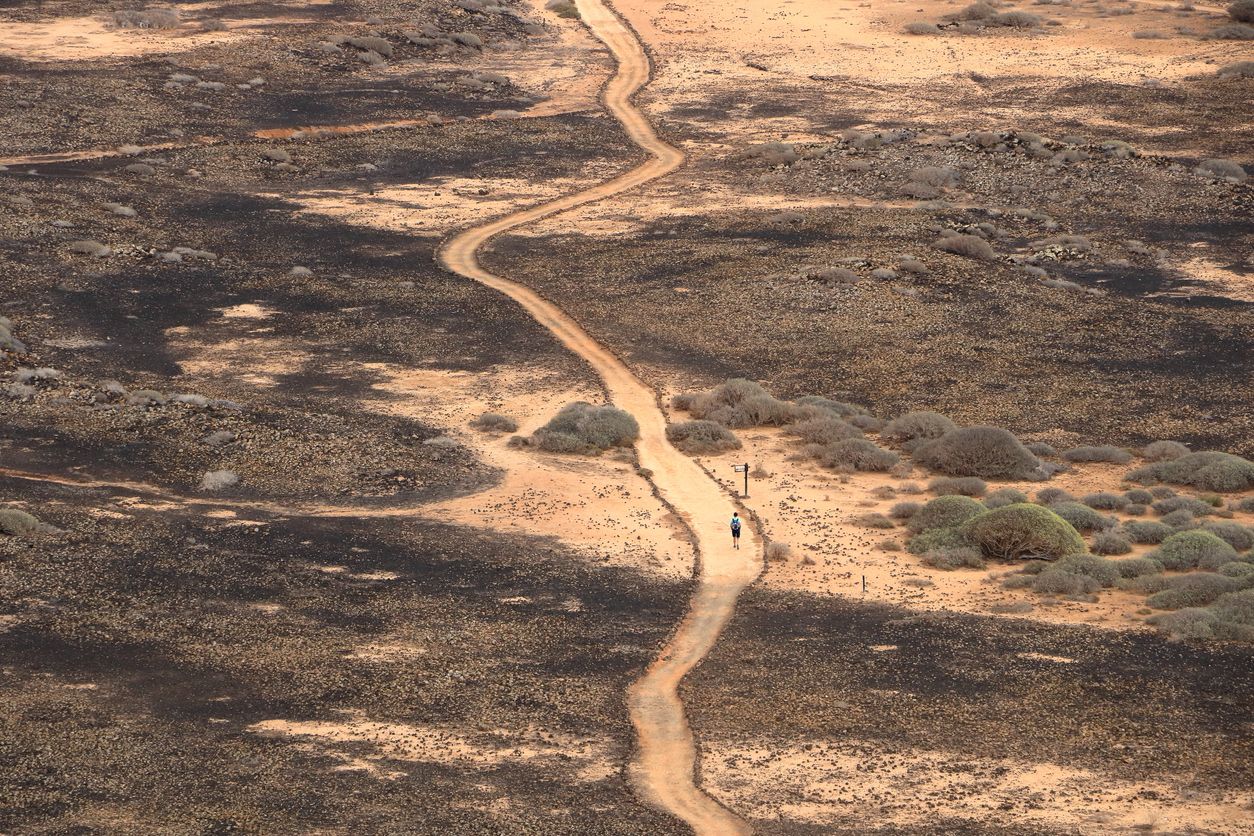 Hay varios senderos a través de los cuales descubrir el entorno