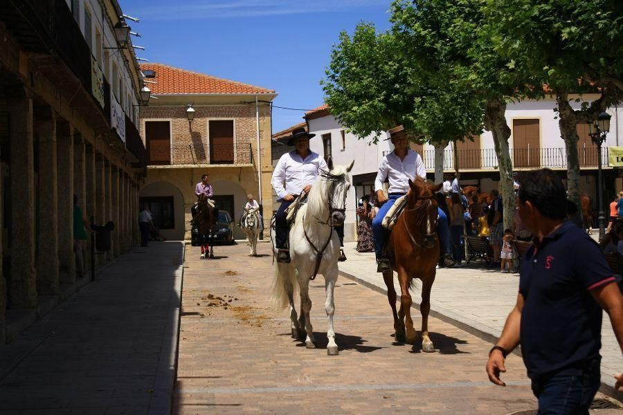 Feria del caballo en Fuentesaúco