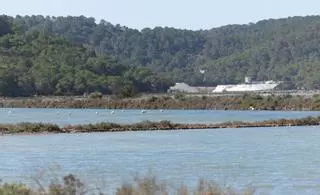 Diez años de retraso para renovar el plan de gestión del Parque Natural de ses Salines