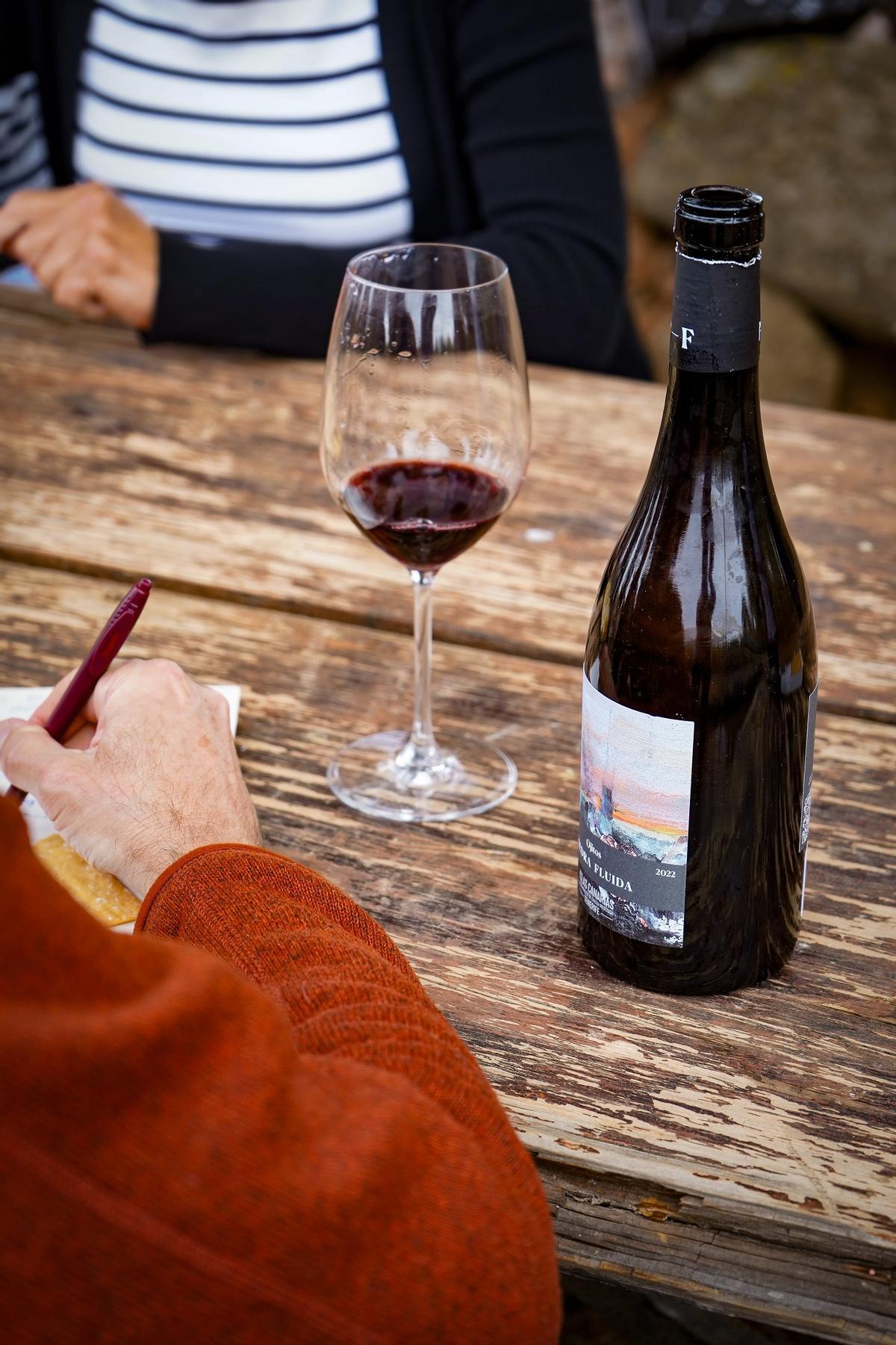 Cata privada en los viñedos volcánicos de Piedra Fluida.