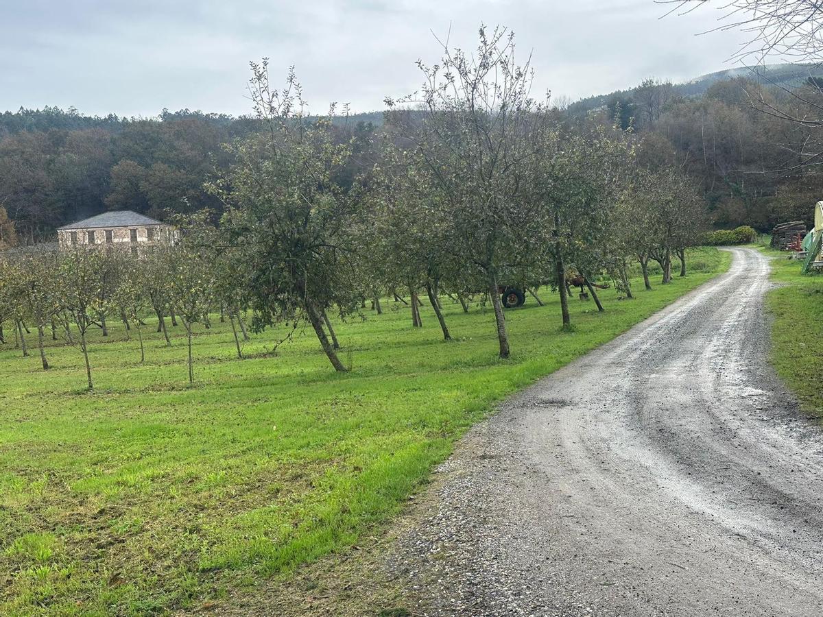 Acceso al camping Amaido.