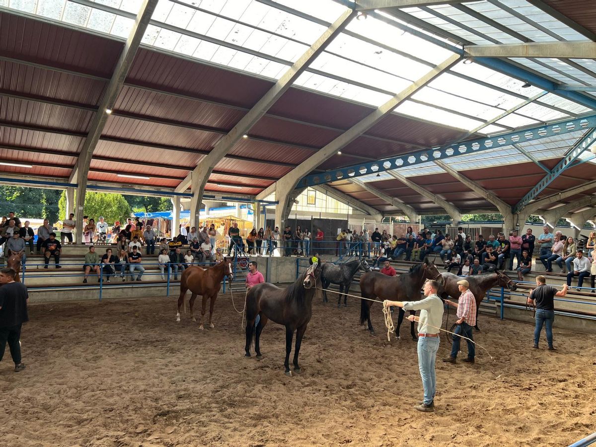 Un momento del concurso, en el recinto ferial de La Imera.