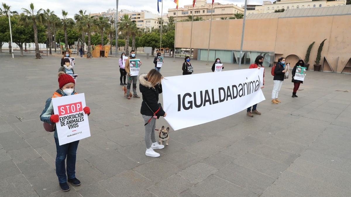 Una decena de activistas de Igualdad Animal se manifiestas en el Puerto de Cartagena.