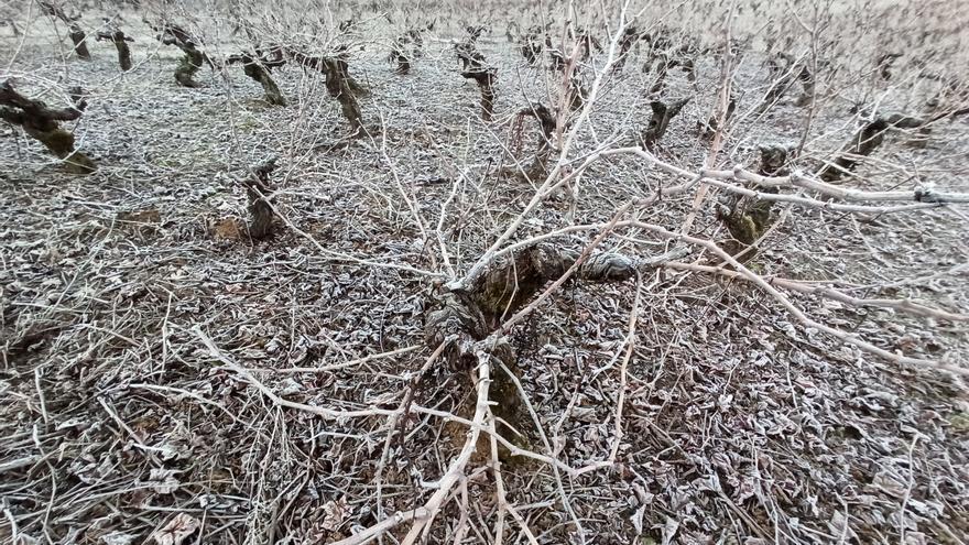 Este ha sido el punto más frío de Castilla y León esta noche: 9,3 grados bajo cero