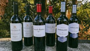 Joies de la Ribera del Duero