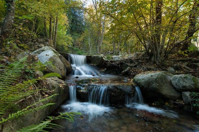 montseny