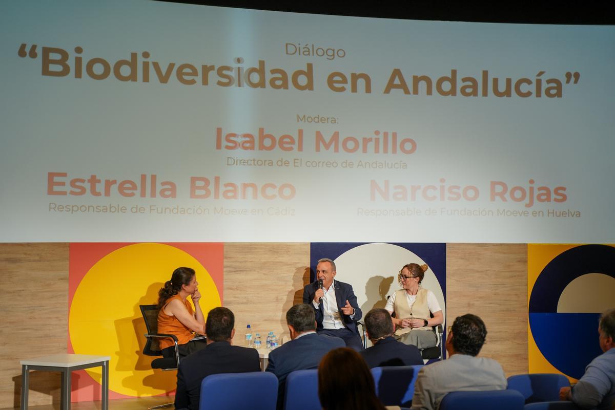 #ElCorreoPregunta con David Toscano, presidente de la Diputación de Huelva