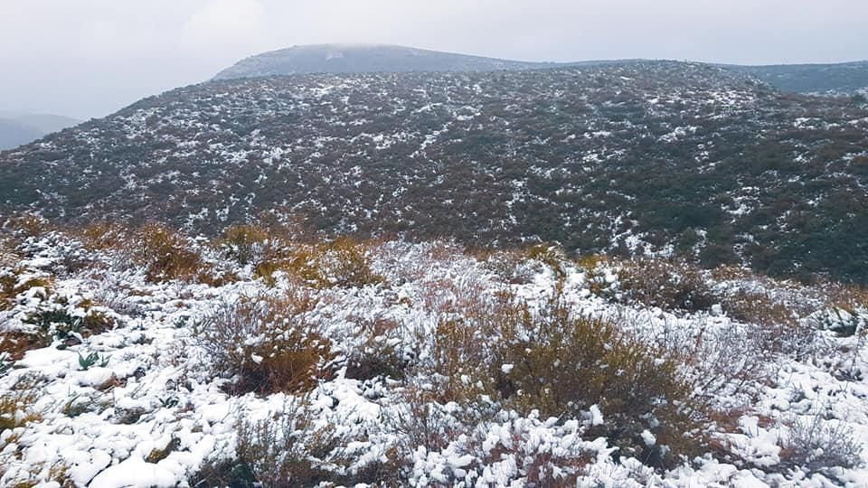 Las mejores imágenes de la borrasca Filomena en Castellón