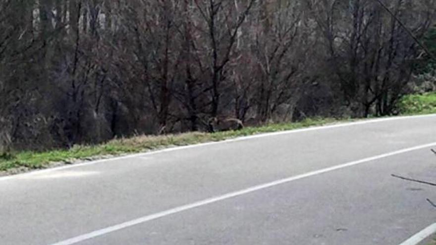 Carretera que une la capital con el barrio de Carrascal