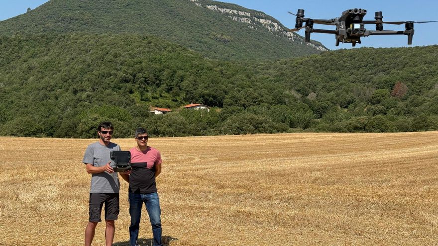 Agricultura estudia ampliar el pla de control del senglar a l’Alt Empordà per protegir la vinya