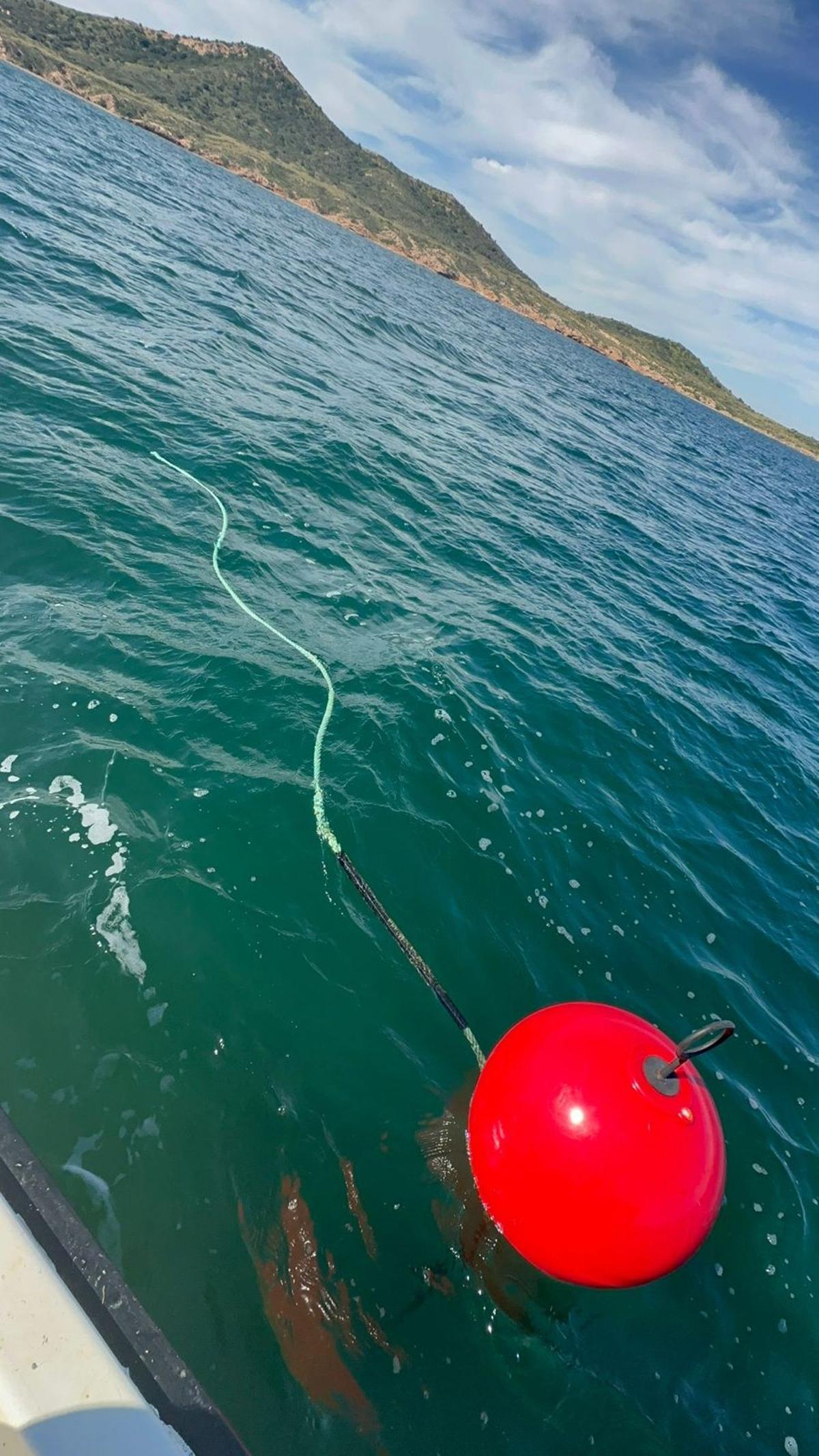 Línea de cultivo cortada del proyecto remediOS-2 en el Mar Menor.