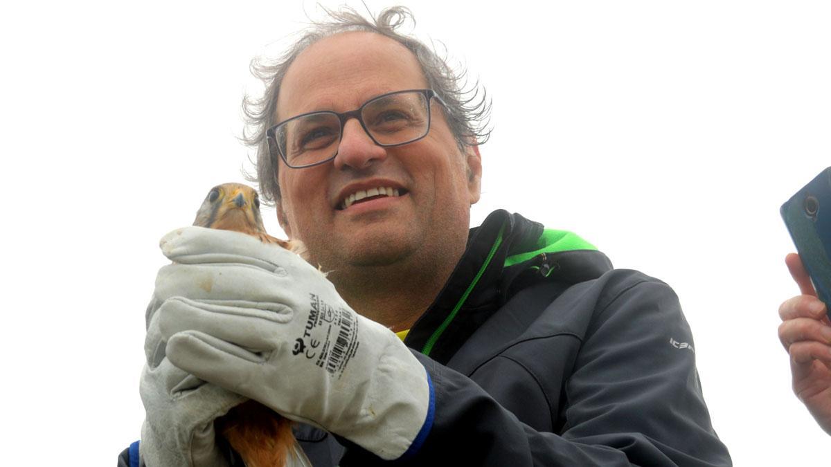 Torra habla de la importancia de estos actos como la subida a las cimas por la libertad, y  libera un halcón xoriguer.