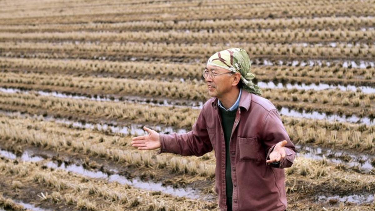 Shuzi Sato, un agricultor japonés de 48 años, se lamenta de la amenaza radioactiva sobre su plantación de arroz, en las afueras de Ichinoseki, en la prefectura de Iwate (noreste de Japón).