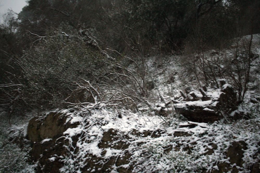 Primeras nieves de 2017 en la provincia de Málaga