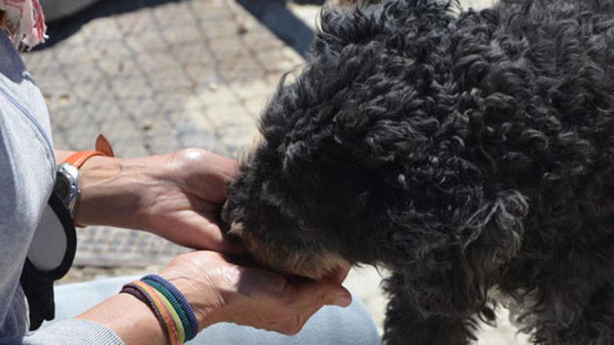 Ninfa come de la mano de Lola Montero en su hora de recreo.