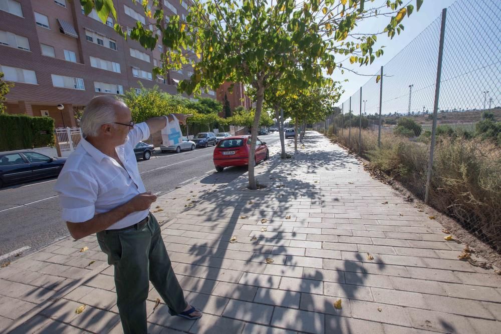 Abandono en la zona del Palmeral de San Gabriel