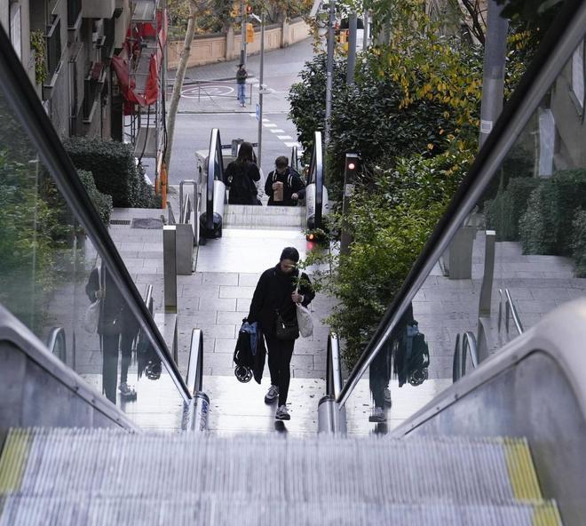 "Tant de bo arreglin les escales, però bé"