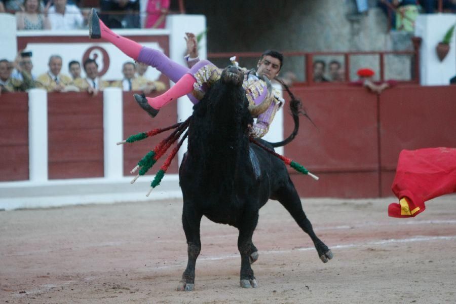 Toros en Zamora