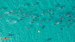 Un grupo de nadadores, el a MARNATON eDreams Formentera by Baleària 2023