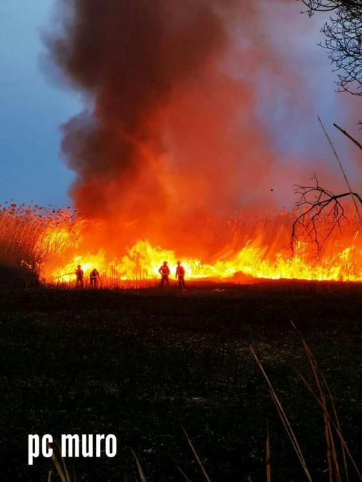 Nächtlicher Brand in S'Albufera schreckt Anwohner auf