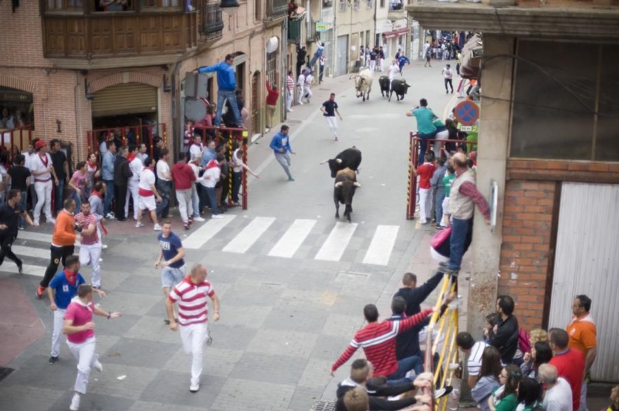 Becerrada, encierros y vaca de la sangría