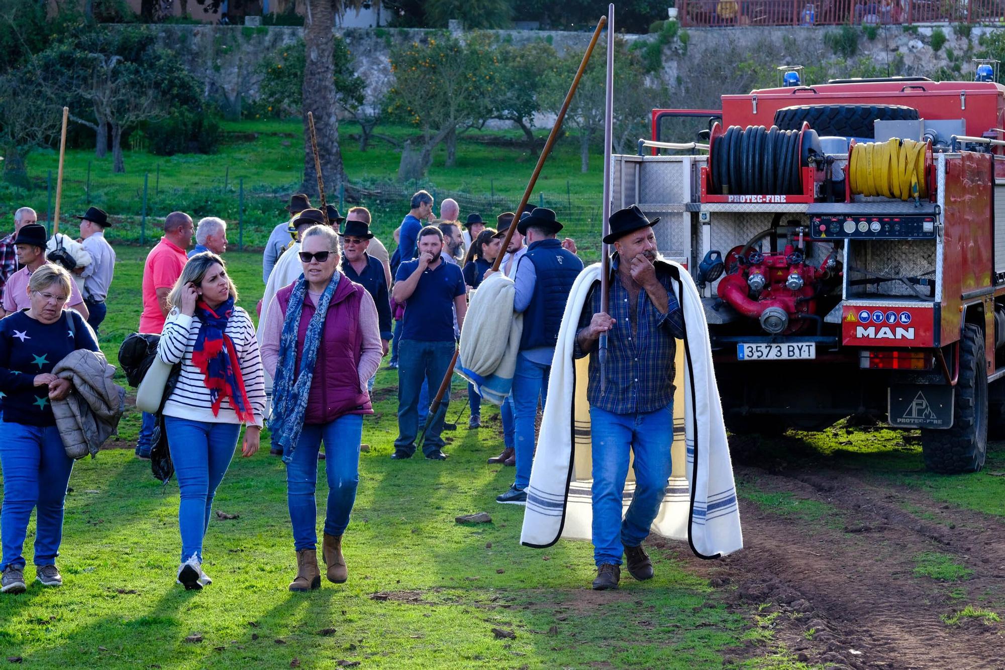 Pastoreo con ovejas 'bombero' para prevenir incendios en Gran Canaria