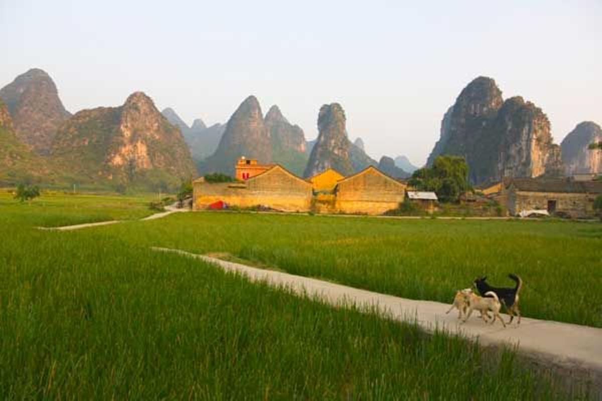 Granja en los alrededores de Yangshuo.