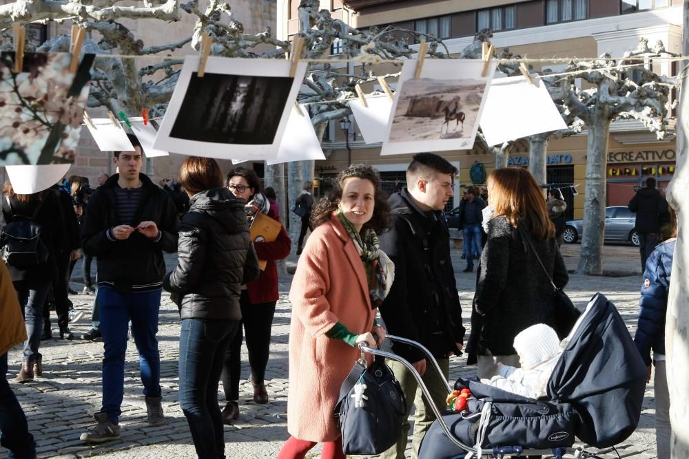 Iniciativa "Secado" en la plaza de Viriato