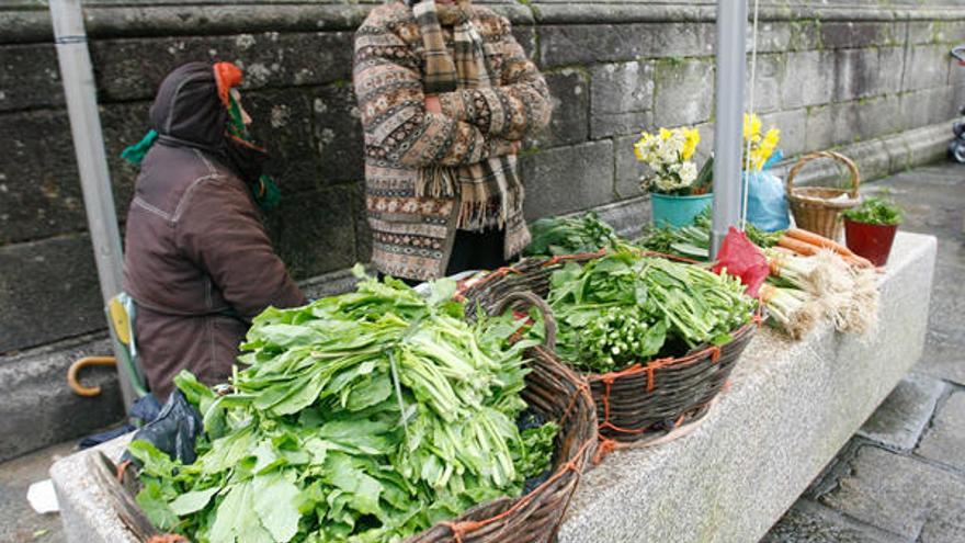 El CSIC investigará efectos saludables de alimentos autóctonos gallegos