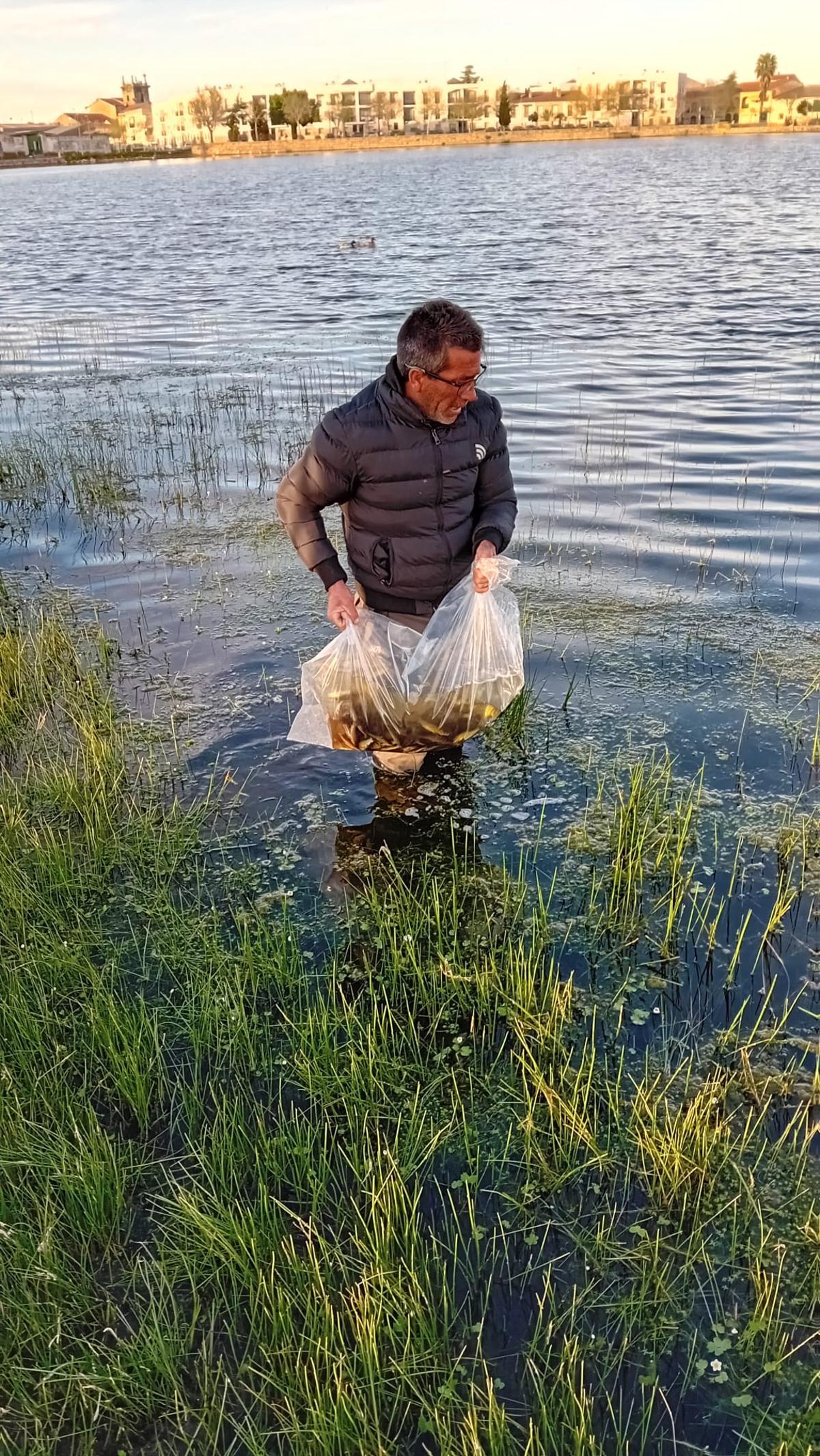 Suelta de ejemplares para repoblar La Charca, en Casar de Cáceres.
