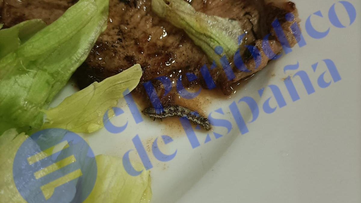 Un gusano en la comida de una de las sanitarias del Hospital de La Paz, en Madrid.