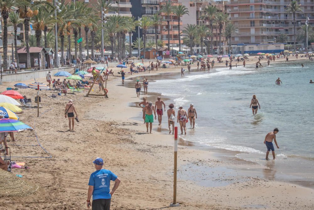 Primer día de baño autorizado en las playas de Torrevieja con arena parcelada y controles de acceso