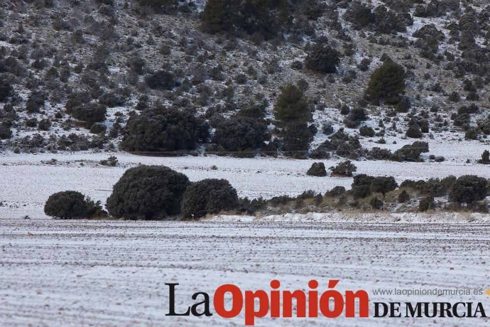 La nieve llega a las pedanías de la comarca del No