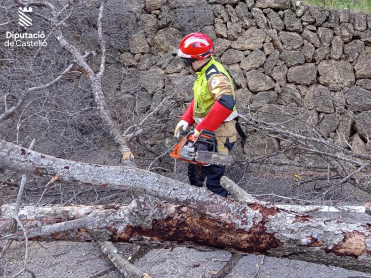 Los bomberos de la Diputación de Castellón han actuado ante la caída de varios árboles en la provincia.