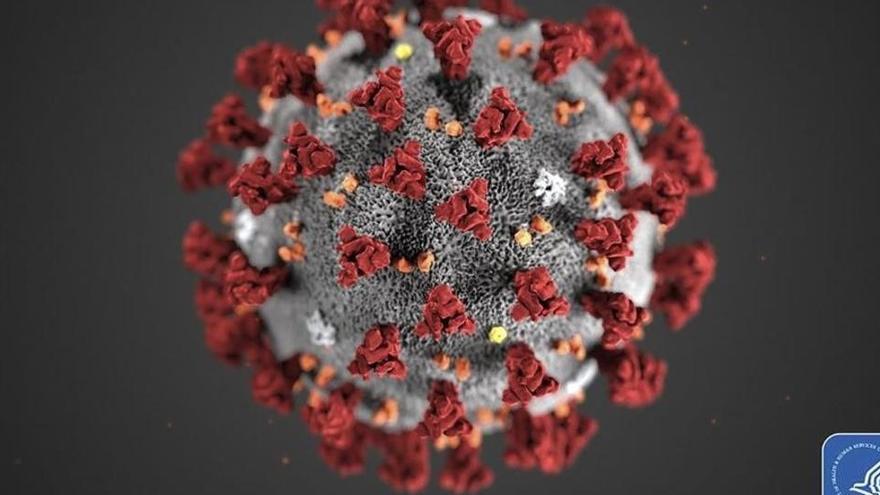 Una de les mutacions del coronavirus SARS-CoV-2 més presents en la segona onada que viu Europa es va donar primer a Espanya