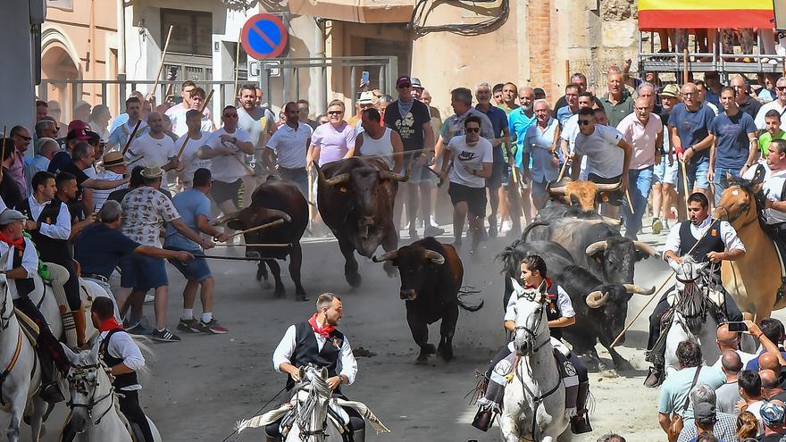 Las mejores fotos de la tercera Entrada de Toros y Caballos de Segorbe