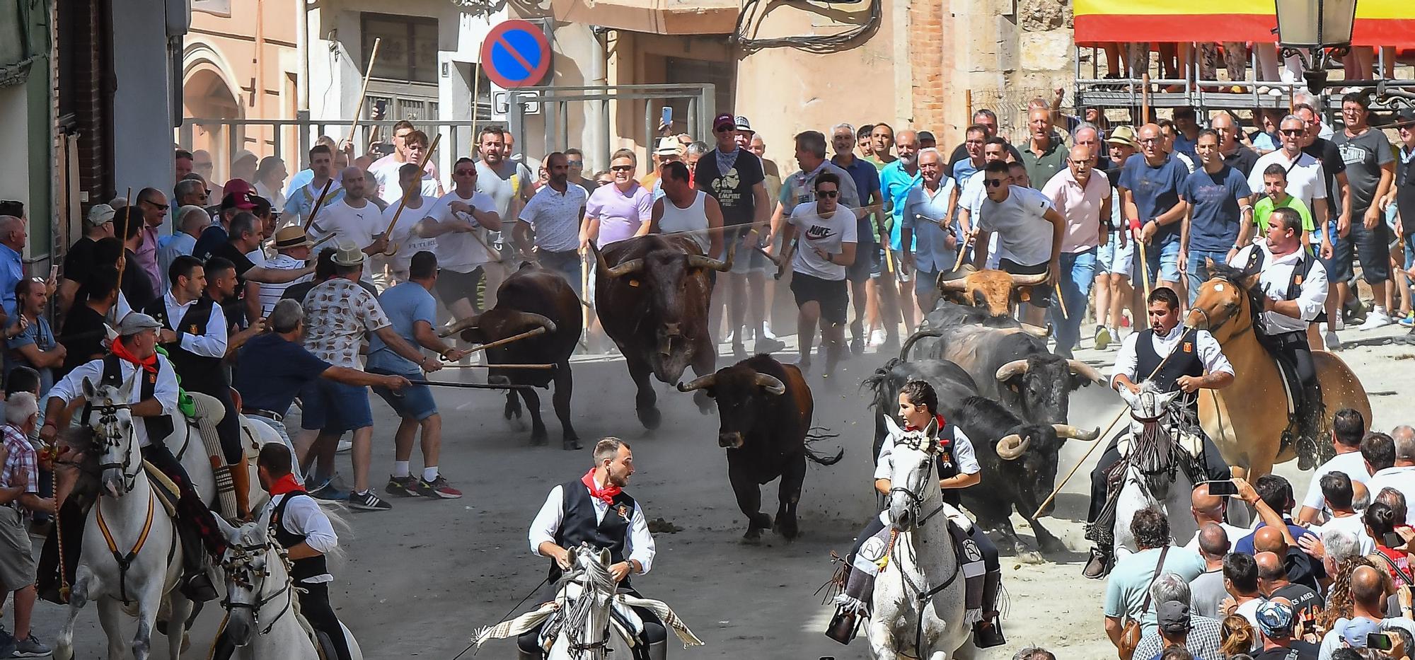 Las mejores fotos de la tercera Entrada de Toros y Caballos de Segorbe