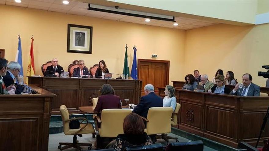 El Pleno pide una reunión a Aguirre para abordar la situación del CARE
