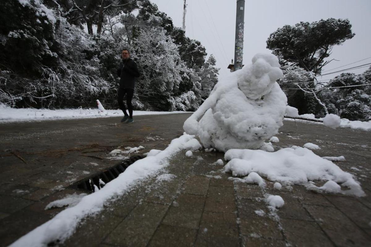 La nieve llega a Barcelona: Collserola, cubierta de blanco