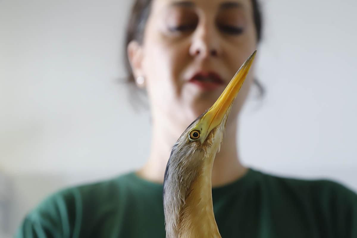 El Centro de recuperación de especies amenazadas de Córdoba, en imágenes