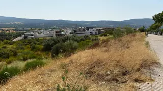 Los vecinos de Ciudad Jardín de Plasencia quieren formar patrullas para desbrozar el barrio